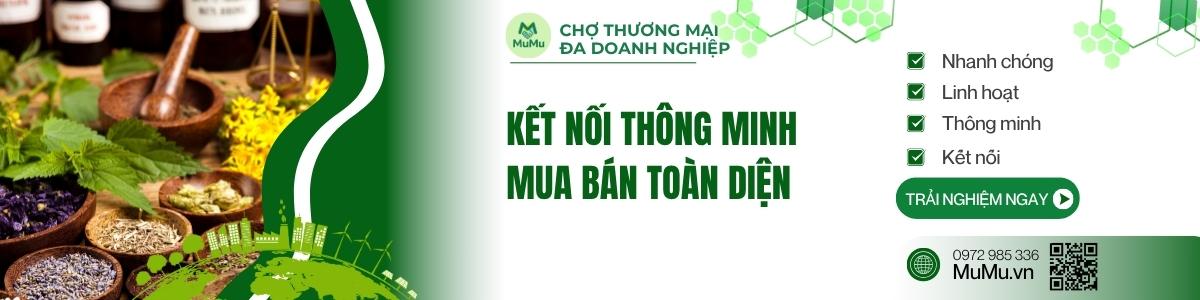 Tổng kết