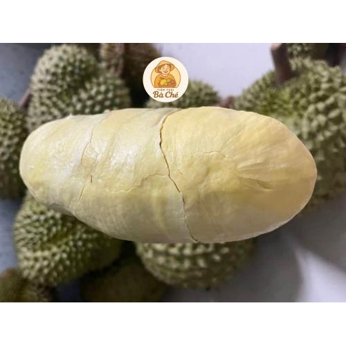 Sầu Riêng Thái DONA - Tách Múi