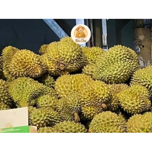 Sầu Riêng Thái DONA - Tách Múi