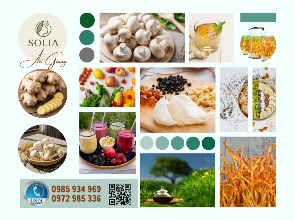 SOLIA – An Giang